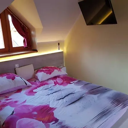 Tulpika 13 Appartement