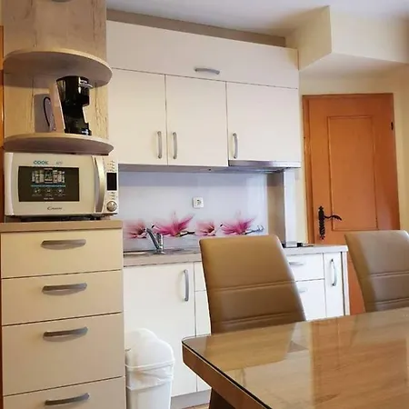 Tulpika 13 * Moravske Toplice