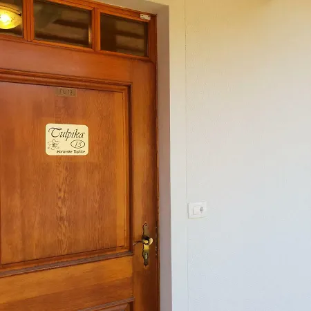 Tulpika 13 * Моравске-Топлице